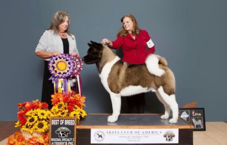GCH CROWN ROYALS TAKE IT TO THE LIMIT Click to view larger.