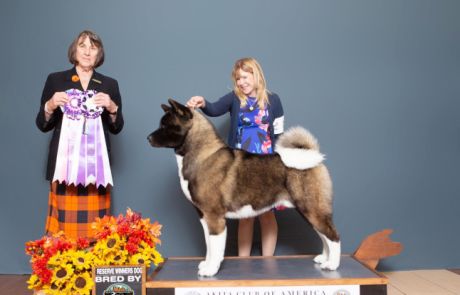 SONDAISA’S HOTSHOT CGC TKN Click to view larger.