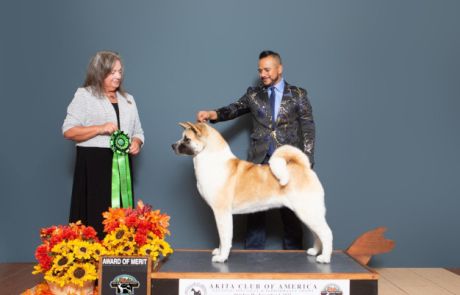 GCH CH DE KANERS MALEFICA Click to view larger.