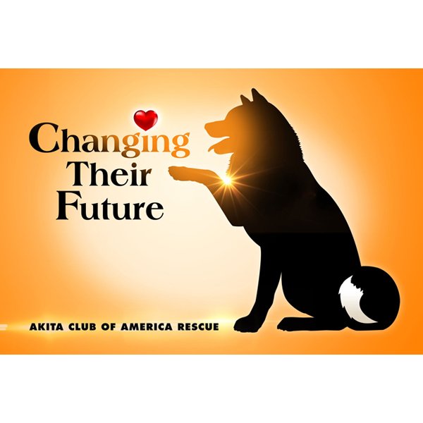 Click to go to ACAR website.