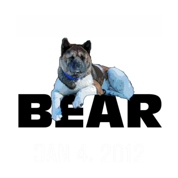 Click to go to BEAR website.