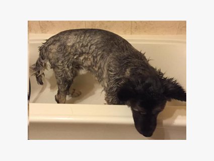 Oil Soak