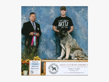 Sarge CGCA CGCU TKN Owned by John Wheeler