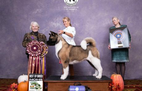 2025 National Best of Breed
