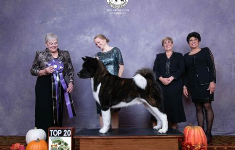 2025 Top 20 Qualifier