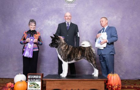 2025 Nationals BOS Futurity
