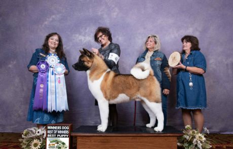 2025 Reg1 WD BOW Best Puppy
